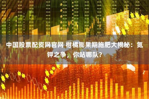 中国股票配资网官网 柑橘膨果期施肥大揭秘：氮钾之争，你站哪队？