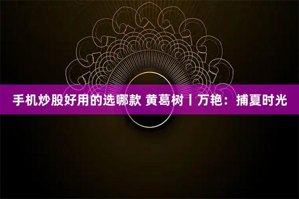 手机炒股好用的选哪款 黄葛树丨万艳：捕夏时光