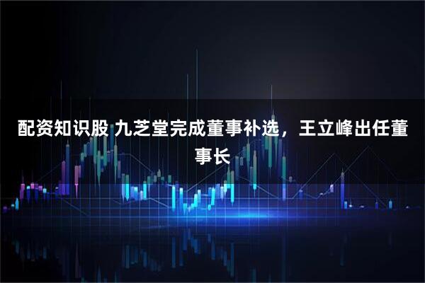 配资知识股 九芝堂完成董事补选，王立峰出任董事长