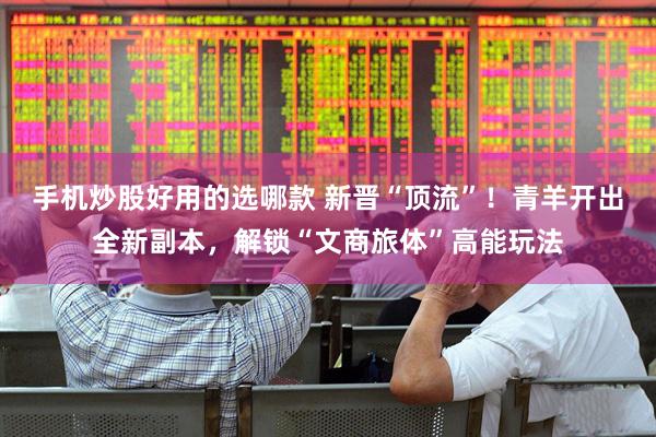 手机炒股好用的选哪款 新晋“顶流”！青羊开出全新副本，解锁“文商旅体”高能玩法